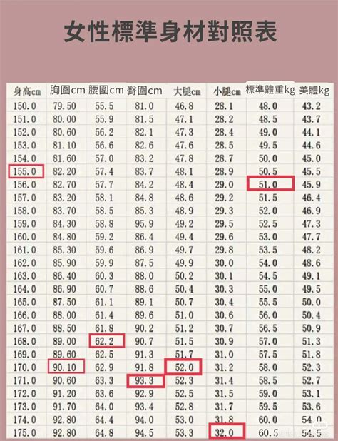 女性標準三圍|《2021女性標準身材對照表》